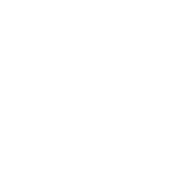 Bluestar I/E Automation logo